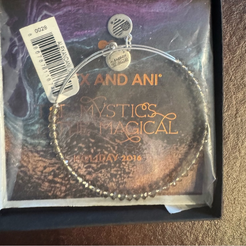 Alex and Ani Silver Beaded Bracelet